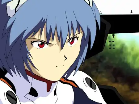 The Neon Genesis Evangelion #1