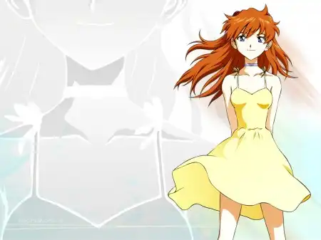 The Neon Genesis Evangelion #1