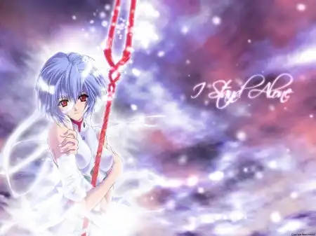 The Neon Genesis Evangelion #1