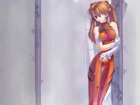 The Neon Genesis Evangelion #1