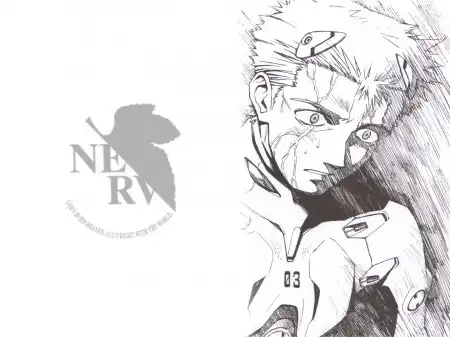 The Neon Genesis Evangelion #1
