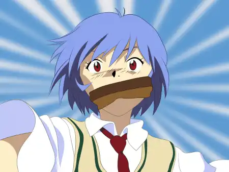 The Neon Genesis Evangelion #1