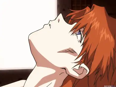 The Neon Genesis Evangelion #1