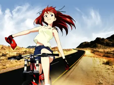 The Neon Genesis Evangelion #1