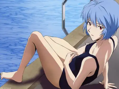The Neon Genesis Evangelion #1
