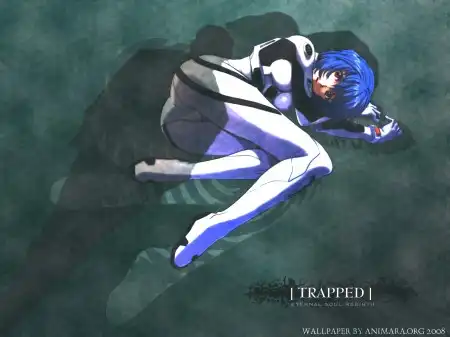 The Neon Genesis Evangelion #1