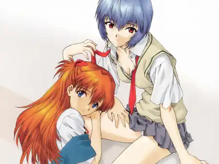 The Neon Genesis Evangelion #1