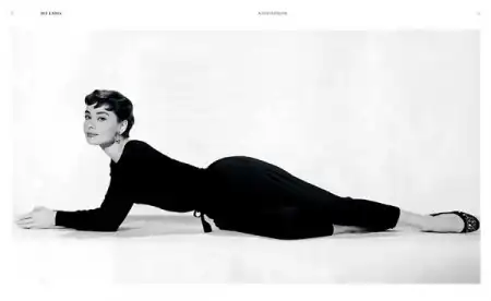 Фотоальбом Fashionista: A Century of Style Icons