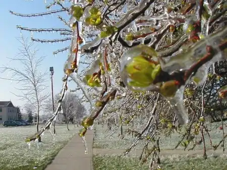 Весенняя подборка