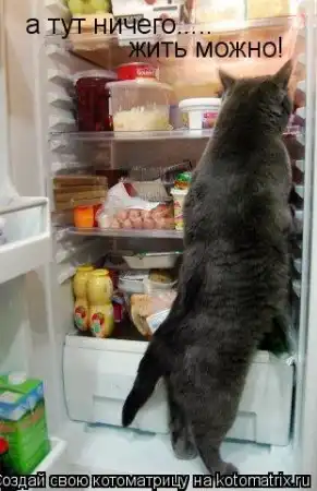 новая котоматрица
