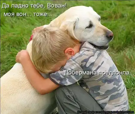 новая котоматрица