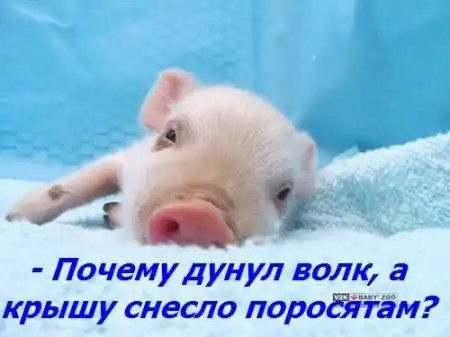 Вопросы, на которые сложно дать односложный ответ (часть 2)