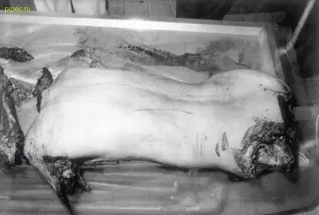 Небольшая порция жести 