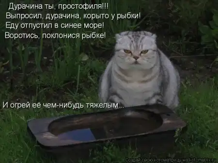 Очередная порция котоматриц