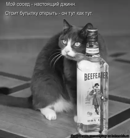 Очередная порция котоматриц
