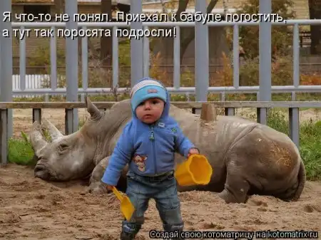 Очередная порция котоматриц