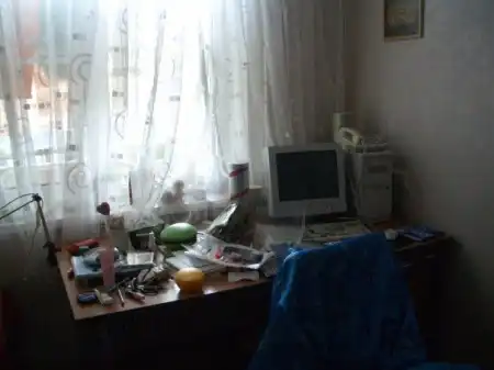какие они бывают