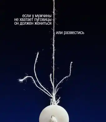 Картинки со смыслом 3