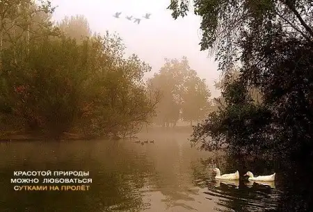 Картинки со смыслом 3