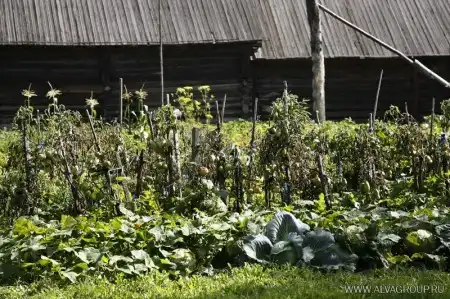 п.Шушенское, и музей-заповедник