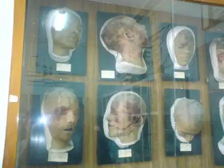 ТГУ Анатомический музей (криминалистической практики).