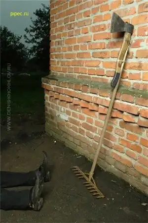 Прикольные фото