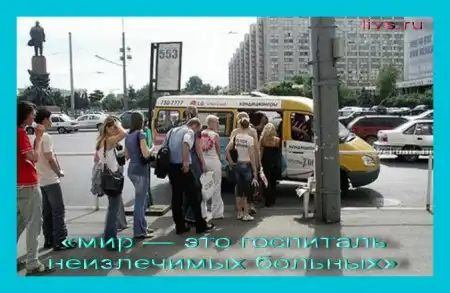 цитаты