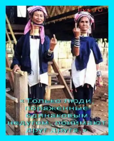цитаты