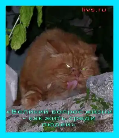 цитаты