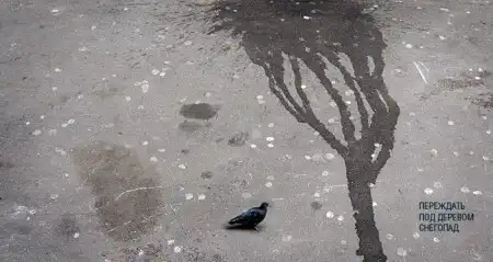 Подборка