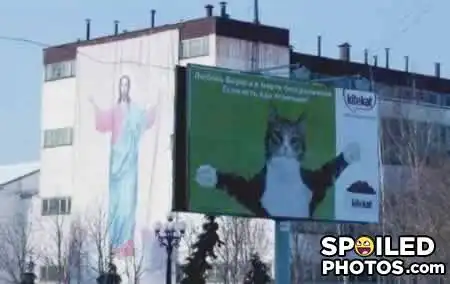 Лови момент2