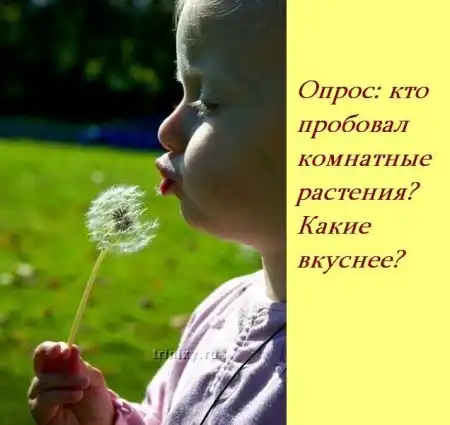 Если бы у детей был свой форум...)