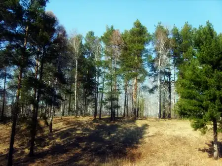 Лето наступает на пятки 8)