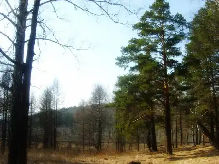 Лето наступает на пятки 8)