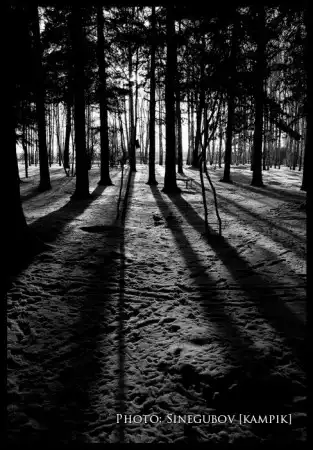 Мои фотоработы 3.Природа