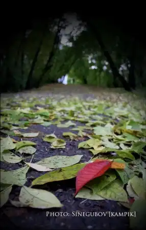 Мои фотоработы 3.Природа
