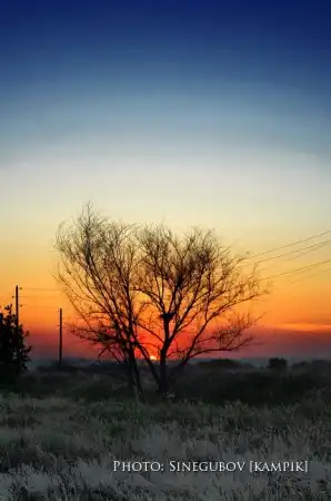 Мои фотоработы 3.Природа