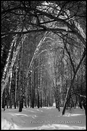 Мои фотоработы 3.Природа