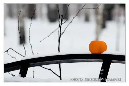 Мои фотоработы 3.Природа