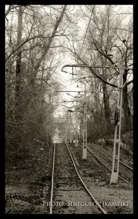 Мои фотоработы 3.Природа