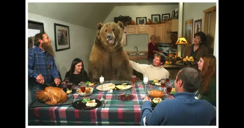 Как медведь стал членом семьи.