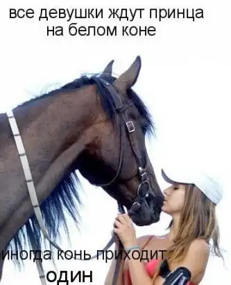 Принц на белом коне... Принц на белом коне...