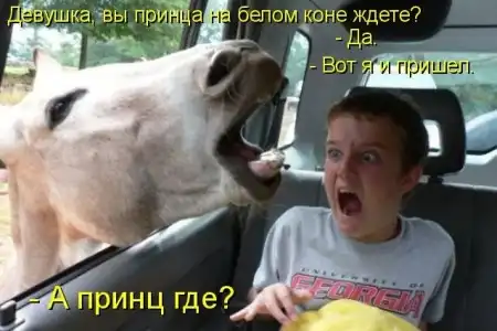 Принц на белом коне...