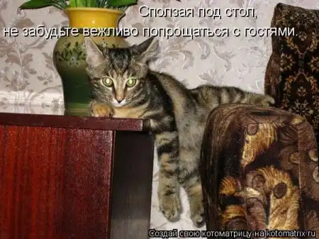 Котоматрицы.Просто снова котоматрицы=)