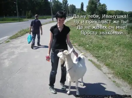 Котоматрицы.Просто снова котоматрицы=)