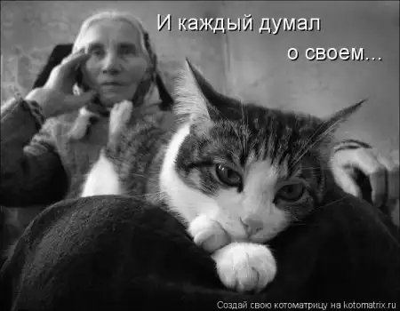 Котоматрицы.Просто снова котоматрицы=)