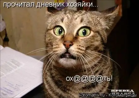 Котоматрицы.Просто снова котоматрицы=)