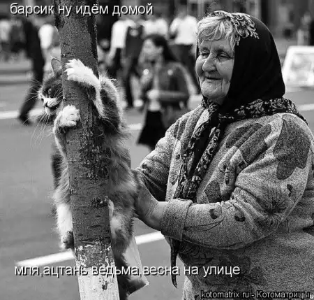 Котоматрицы.Просто снова котоматрицы=)