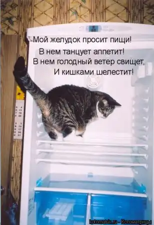 Котоматрицы.Просто снова котоматрицы=)