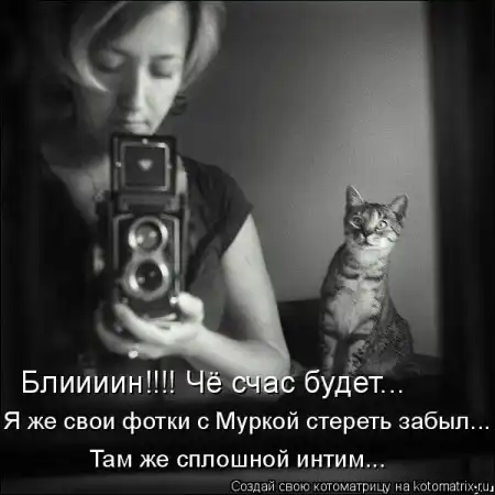 Котоматрицы.Просто снова котоматрицы=)
